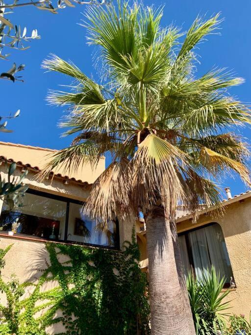 Charmante Villa Avec Une Ame. Pignan Екстер'єр фото