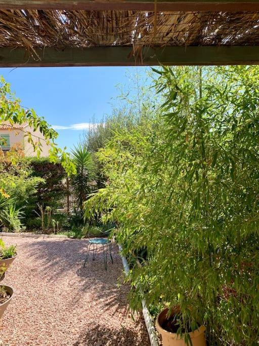 Charmante Villa Avec Une Ame. Pignan Екстер'єр фото